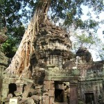 Tree and Tower at Ta Prohm