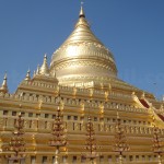 Central Zedi