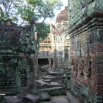 Apsaras