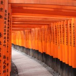 Torii