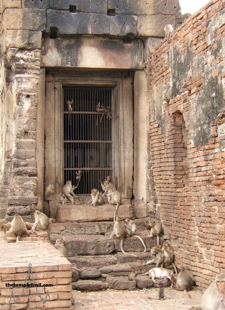 Lopburi Monkeys in Doorway